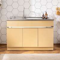 G120-2 Simple Modern Gold Stainless Steel Laundry Sink Tub With Cabinet